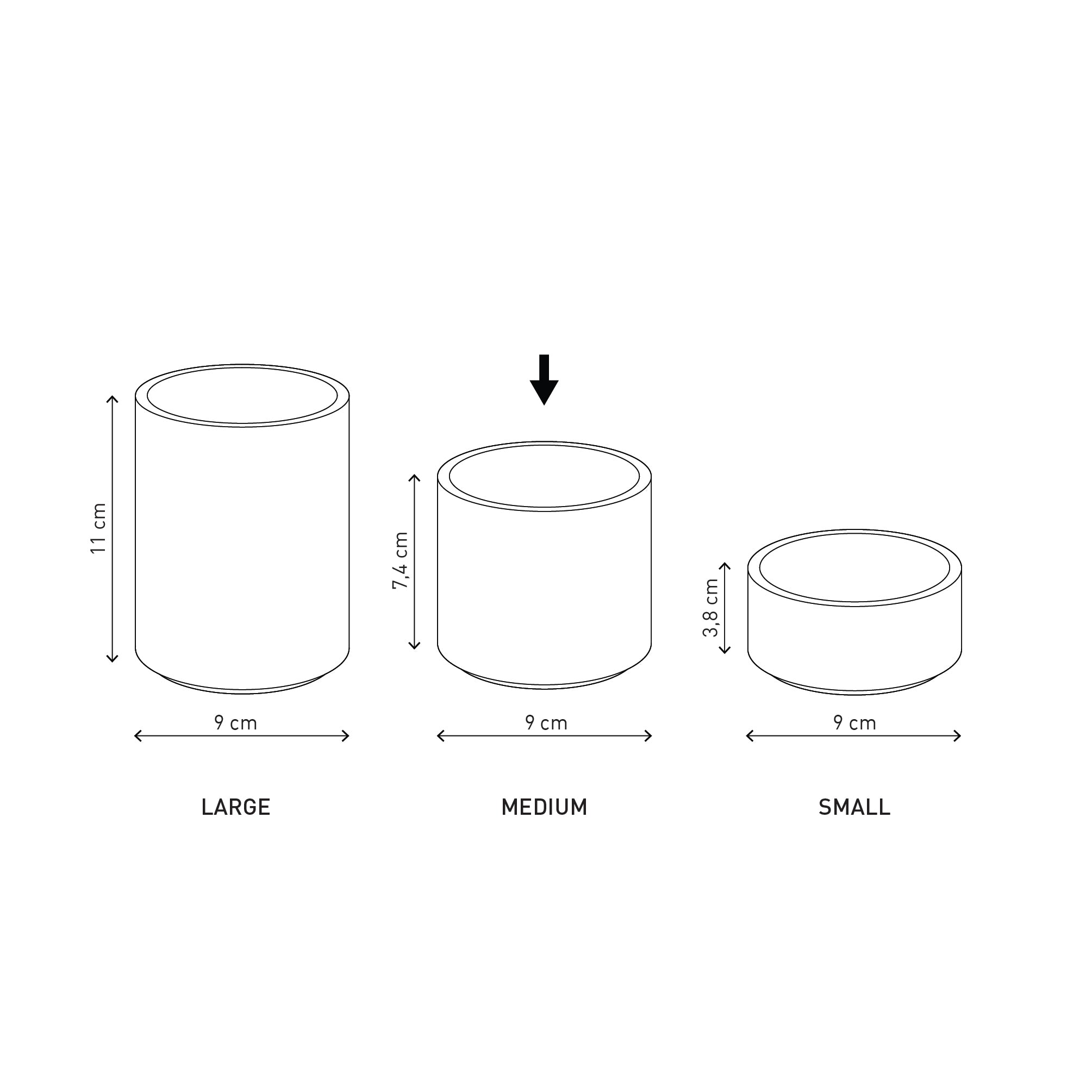 Stack Organizer - 中